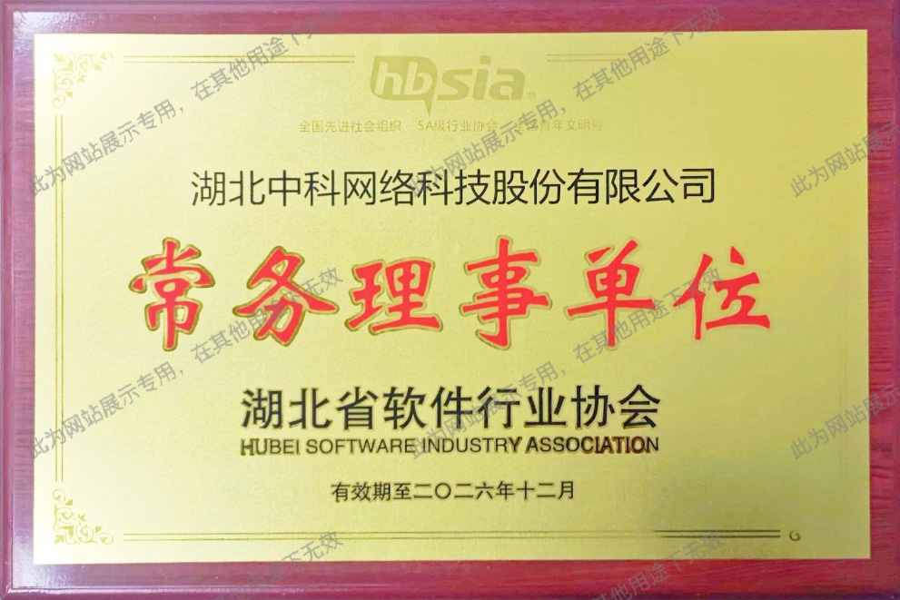 湖北省軟件行業(yè)協(xié)會(huì)常務(wù)理事單位